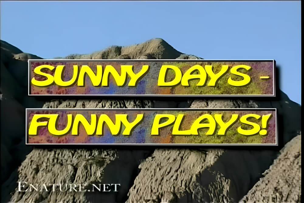 Enature - Sunny Days – Funny Plays - A basic understanding of naturism is necessary
