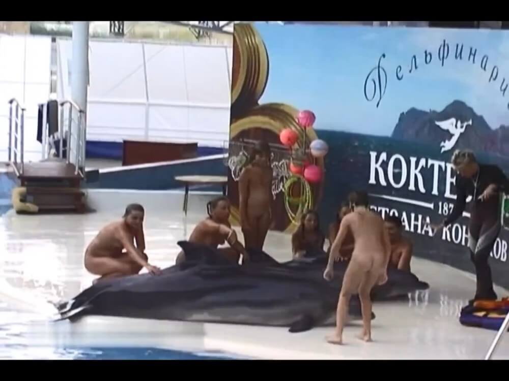 Relaxing at the dolphinarium - Overcoming Shame