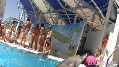 Amazing Dolphin Encounter HD video - It strives for inner balance—not being afraid to be naked among those like you